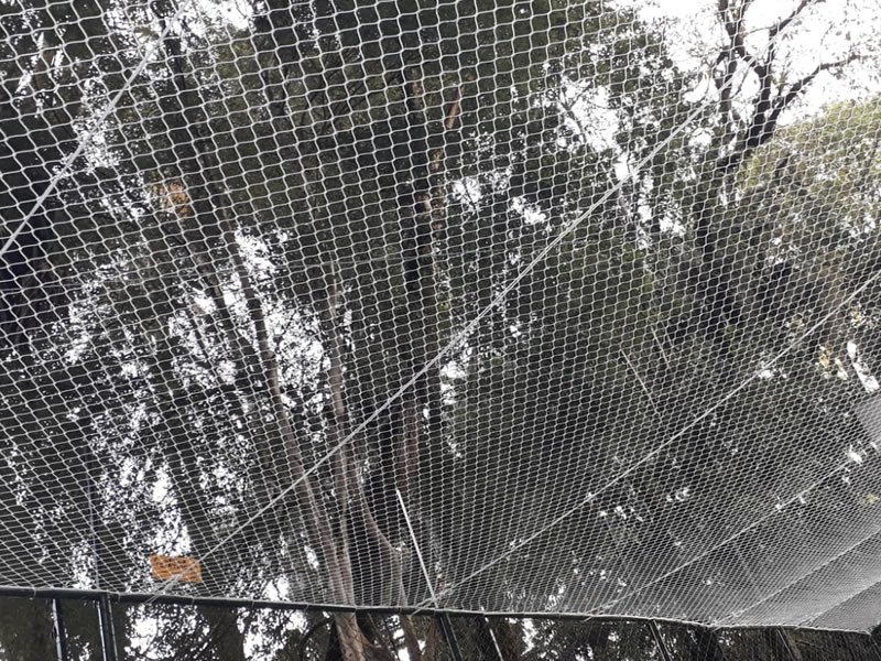 Garanta a segurança de crianças com rede protetora em Cariacica