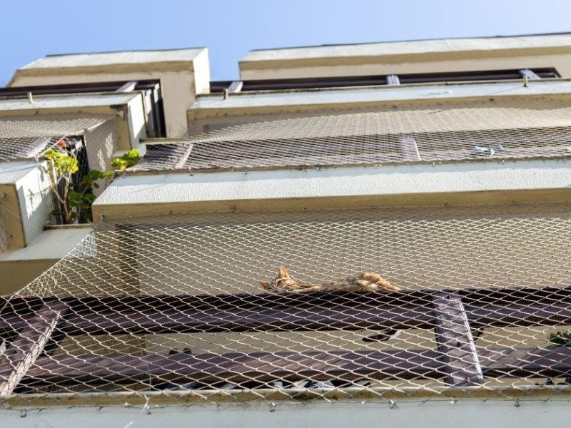 Telas de segurança para pets em Vila Velha