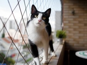 Redes de proteção para condomínios em Vila Velha