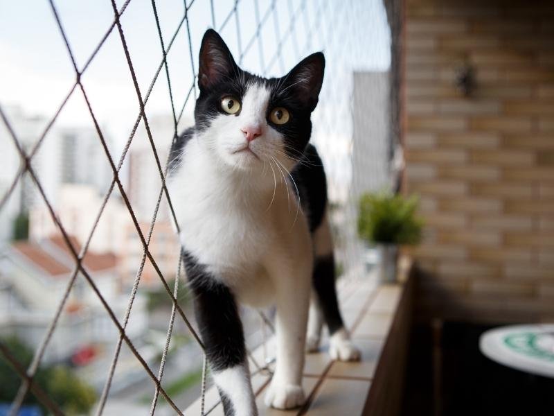 Redes de proteção para condomínios em Vila Velha